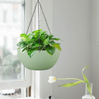 10 inch Hanging Planters for Outdoor Indoor Plants - Image 5