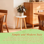 Plant Stand Indoor/Outdoor for Plants, Wood White Planter Stands Holder Mid - Image 4
