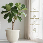 WORTH Garden Round Large Planter Pot 1-Pack - Image 6