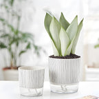 5 Pack Self Watering Pots for Indoor Plants, Easy-Care Pots for African Violet - Image 6