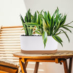 QCQHDU 16" L x 7.6" W x 7" H Window Planter Box, 2 Pack Self Watering Pots - Image 6