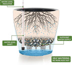 Dexceder 15x14 Self Watering Planter - Image 2