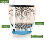 Dexceder 15x14 Self Watering Planter - Image 2