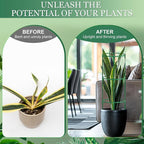 24Pcs Plant Support Stakes, Half Round Plant Stakes - Image 3