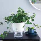 6Inch Self Watering Planter Pots 4 Pack Plant Pot - Image 4