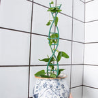 Indoor Plant Trellis for Potted Plants - Image 7