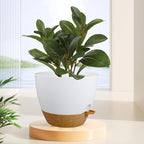 12 inch Large Self Watering Pots, Flower Plant Pots - Image 6