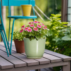 5.6 Inch Plant Pot - Image 4