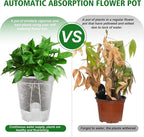 Cdd's Path Large Naked Root Planter Self Watering Pots Set - Image 4