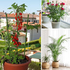 8 Pack Tomato Cage for Garden Plant Support, 18 inches Small Tomato Cages - Image 6