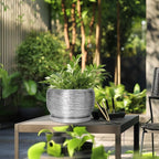 SQOWL Ceramic Pot for Plants - Image 5