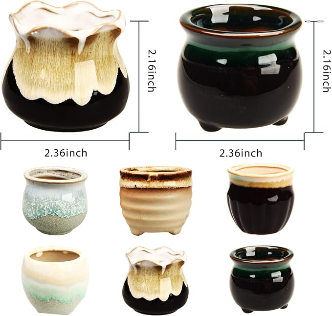 Brajttt 2.1 Inch Succulent Pot - Image 2