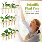 XXXFLOWER Wall Hanging Propagation Station - Image 5