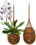 Handmade 100% Thai Bamboo Super Sanctuary Hanging Orchid Basket by Panwa