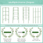 Legigo 2-Pack Tomato Cage for Garden Plant Support- Up to 63inch Garden Stakes - Image 5