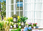 Josteve 4.5 Inch 2 Pcs Self Watering Hanging Planter Indoor Plant Pots Drainage - Image 2