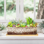 Succulent Pots - 12 Inch Large Succulent Planters - Image 6