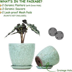 8 Inch + 6 Inch Plant Pots for Indoor Plants, Ceramic Planter - Image 3