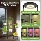 iDavosic.ly 6 Tier Large Plant Stand Indoor - Image 4