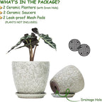 8 Inch + 6 Inch Retro Ceramic Planter Set of 2 - Image 2