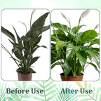 Grevosea 5 Pack Plant Support Stakes, Stackable Monstera Plant Supports - Image 6
