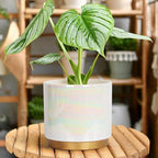 Gepege White Indoor Plant Pots for Plants, Ceramic Planter - Image 7