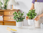 Melphoe Self Watering Pots for Indoor Plants Planter, 5.3 Inch 2 Pack Planters - Image 3
