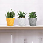 5 Inch Planter Pots, 6 Pack Indoor Planters, Small Flower Pots - Image 6
