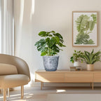 Ceramic Plant Pots - Image 7