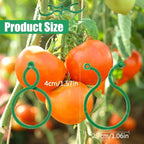 Hysagtek 100 Pcs Plant Support Clips - Image 2