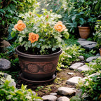6 Pack 8 inch Plant Pots, Retro Pattern Planters - Image 6