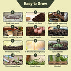 10 Herb Garden Planter Indoor Kit, Soil Discs, Gardening Tools, Unique - Image 4