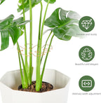 6PCS Iron Monstera Plant Support, Uniquely Designed Indoor Plant Accessories - Image 4