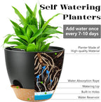 Self Watering Plants Pot with Drainage Hole, Flower Plants Pots - Image 2