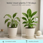 Automatic Plant Watering Globes Self Watering Planter Inserts | Hands Free - Image 3