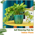 Self Watering Pots for Indoor Plants, Small African Violet Pots - Image 7