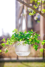 Melphoe 2 Pack Self Watering Hanging Planters Indoor Flower Pots, 6.5 Inch - Image 4