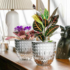 2 Pack 4 inch Self Watering Plants Pots Planters by XKYQSY