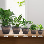 Plastic-Plant-Flower-Planters-16 Inch - Image 5