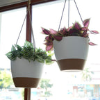 10 Inch Self Watering Hanging Pots, 2 Pack Hanging Planters - Image 6