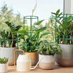 36 Packs Plant Support Stake, Half Round Stackable 3 Tier Garden Flower Support - Image 7