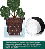 D'vine Dev 8 Inch Design Self Watering Planter - Image 6