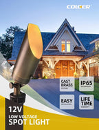 COLOER Die-cast Brass Landscape Spot Lights Outdoor - Image 2