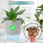 3 Pack Self Watering Planter Pots, 4.9 Inch African Violet Pots - Image 5