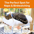 Large Cat Window Perch with Industrial-Grade Suction Cups - Image 4