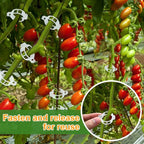 200 Pcs Plant Support Garden Clips, Tomato Clips, Crop Clips - Image 7