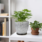 Ceramic Planter - Image 2