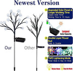 TONULAX Solar Garden Lights - Image 3
