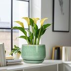 G EPGardening Ceramic Planter - Image 6