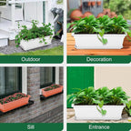 GROWNEER 3 Packs 17 Inches White Flower Window Box Plastic Vegetable Planters - Image 7